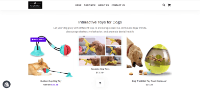 Web Design for furrytailstore by digitalconnectr.com